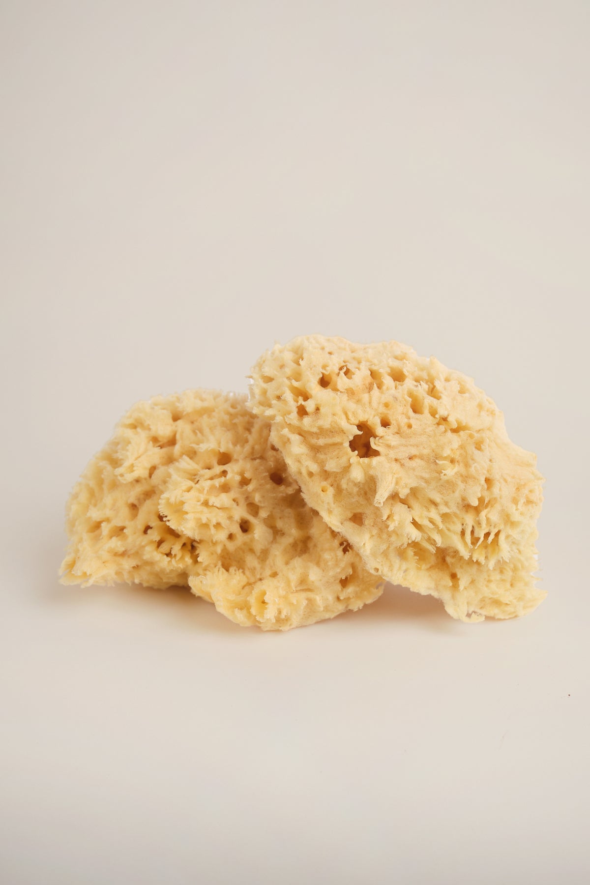Bath Sea Sponge