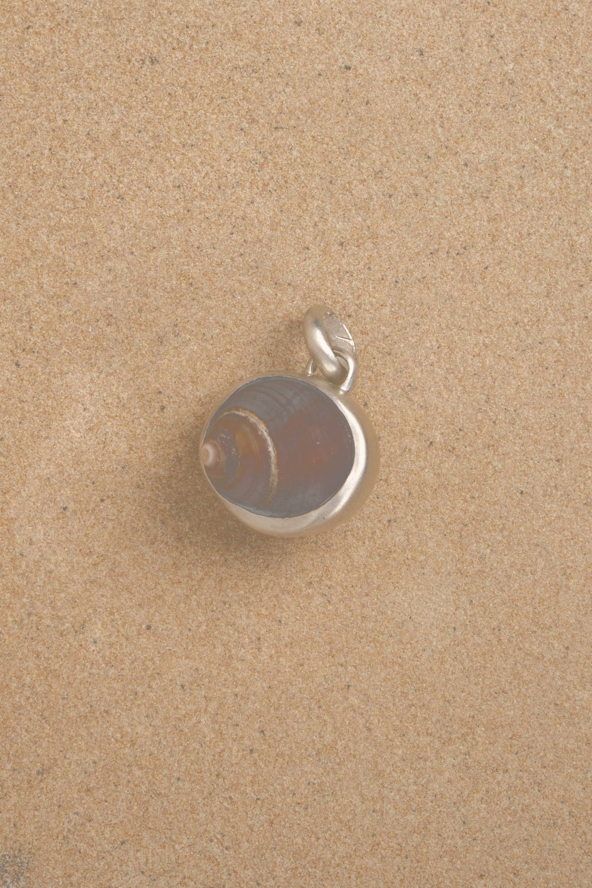 Snail Shell Pendant (softer shadows)