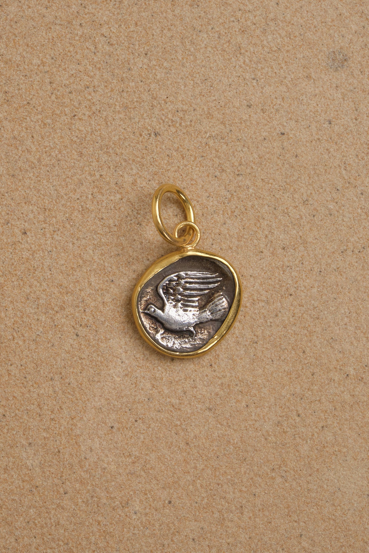 Chimera Coin Pendant